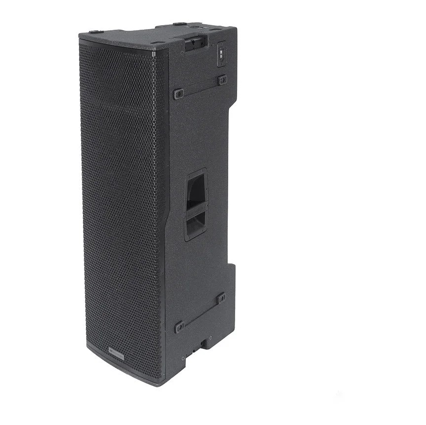 dBTechnologies VIO C212 Dual 12-Inch Powered Line Array Speaker