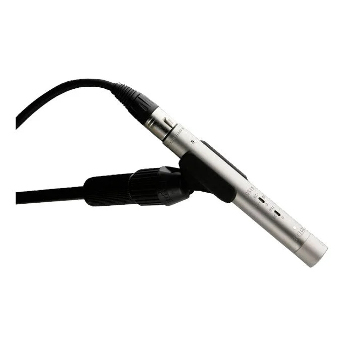 Rode NT55 Multi-Pattern Condenser Microphone
